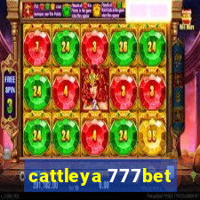 cattleya 777bet